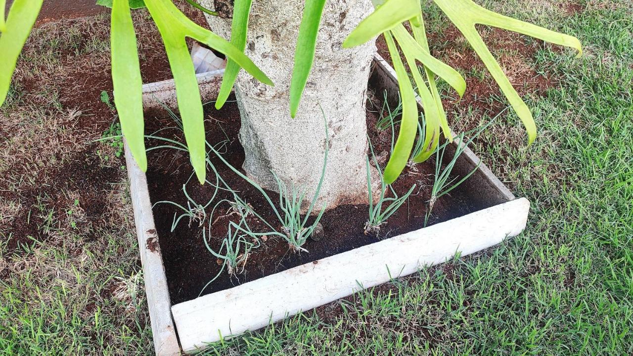 Willa Linda Casa Bairro Tranquilo Prox Cataratas Foz do Iguaçu Zewnętrze zdjęcie